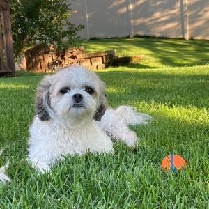 Meet your Posher, Abbey